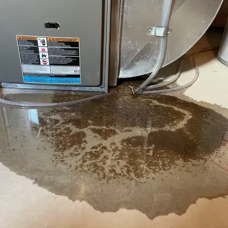 Appliance Leak Cleanup in Blackstone, VA